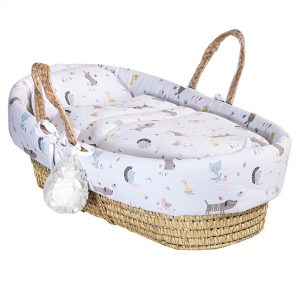 dog basket