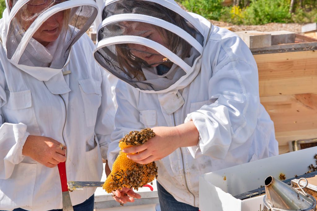 Beekeeping Equipments